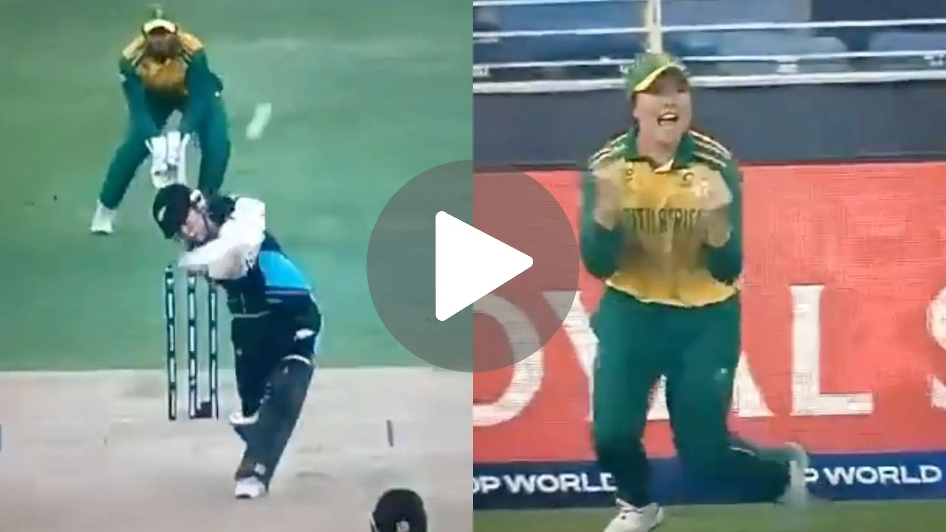 [Watch] Sune Luus Screams In Joy After Her Brilliant Catch Sends NZ Opener Packing